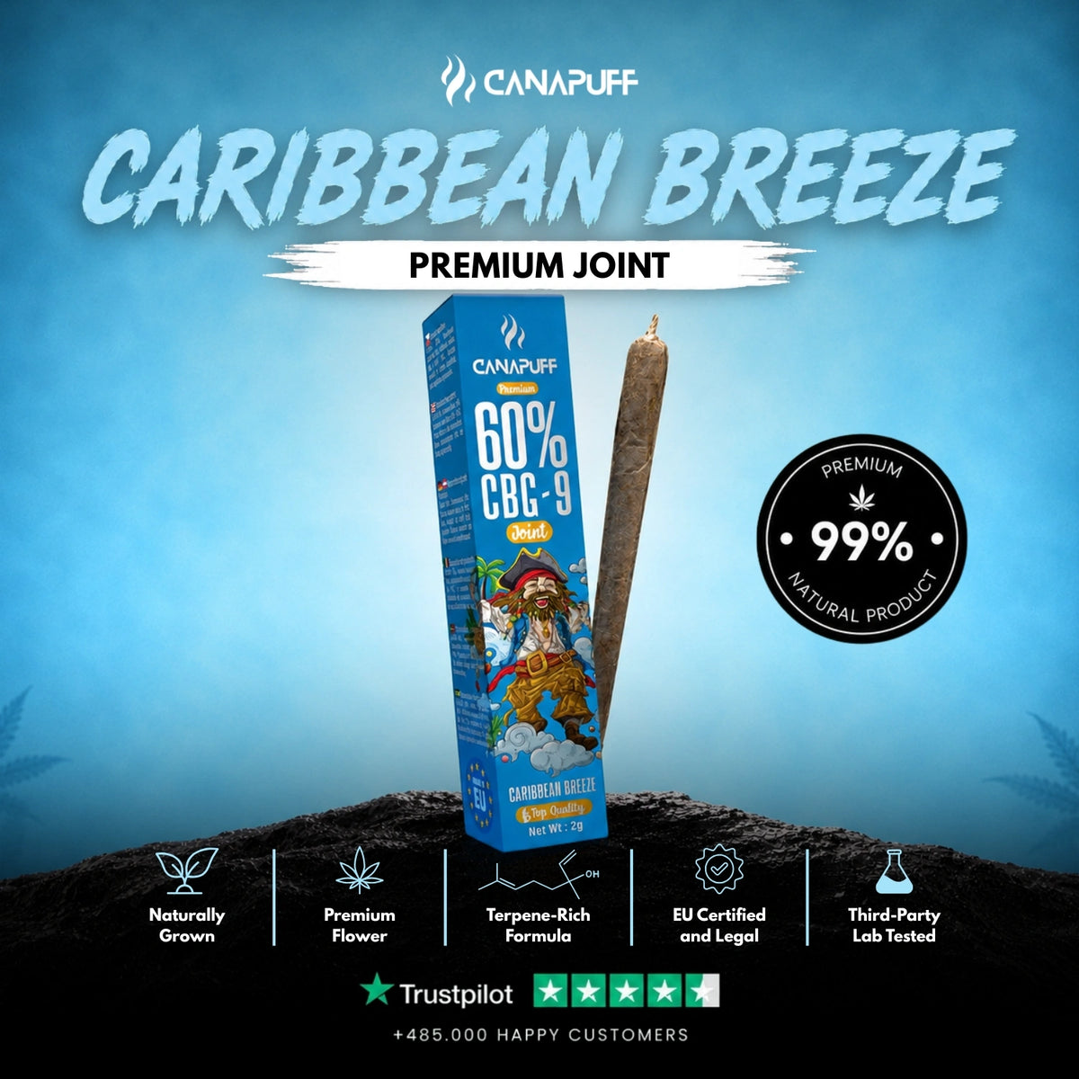 CBG9 Joint Caribbean Breeze 60% – pre-rolled joint, photo 2