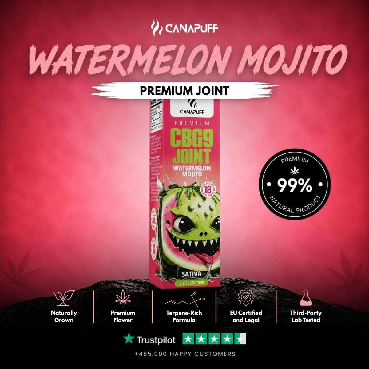 CBG9 Joint Watermelon Mojito 50% 2g – pre-rolled joint, photo 2