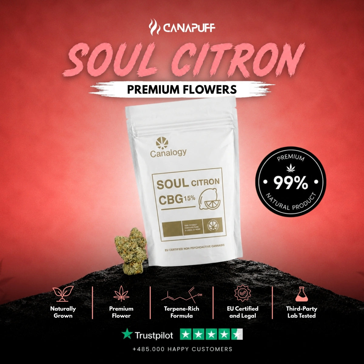 CBG Flowers Citron Soul 15% – flower buds, photo 2