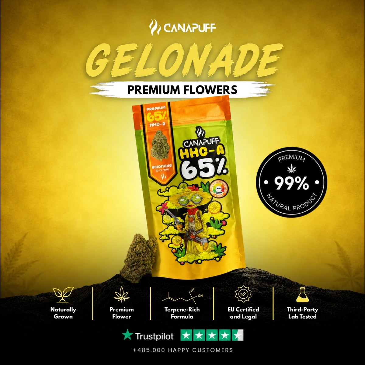 HHC-A Flowers Gelonade 65% – flower buds, photo 2