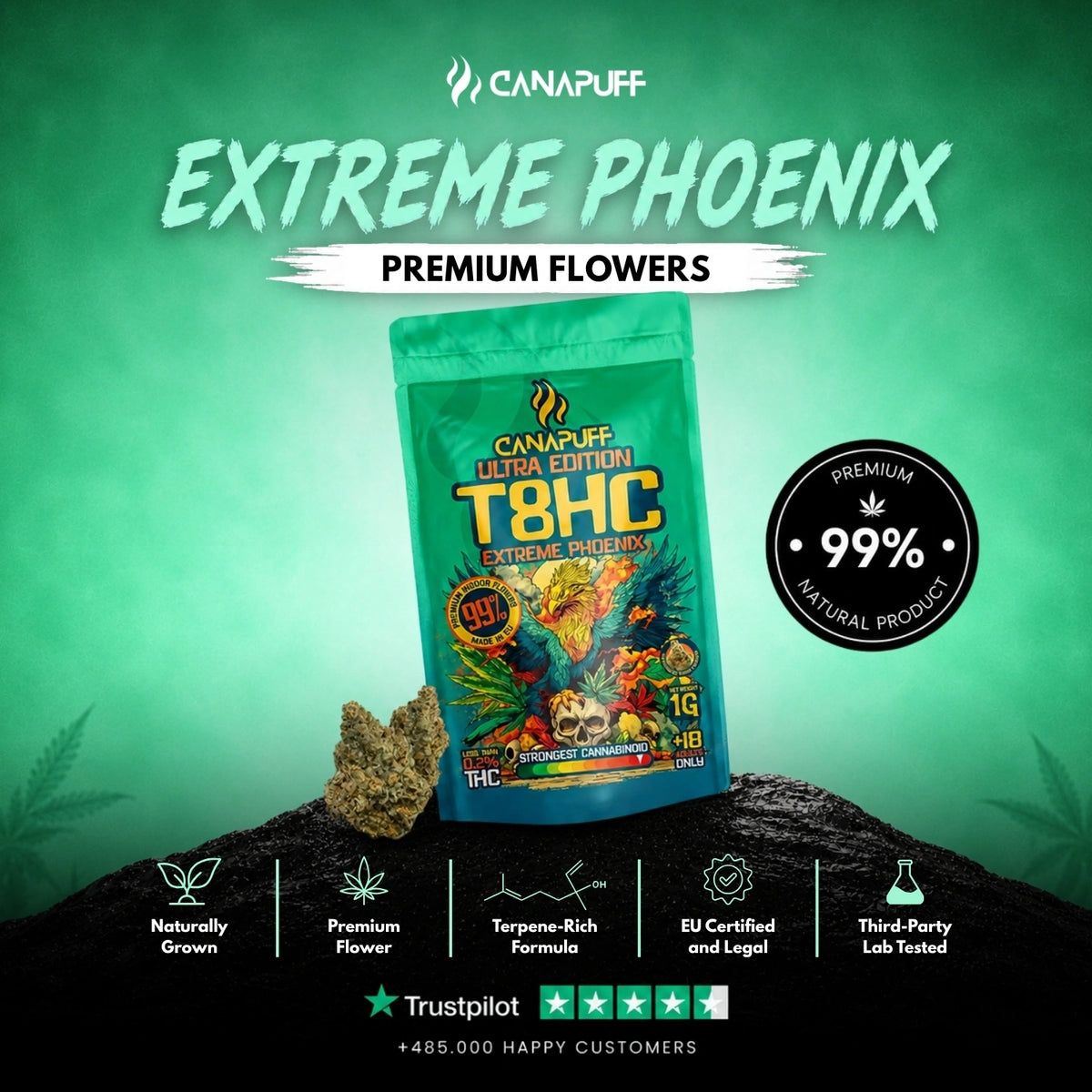 T8HC Flowers Extreme Phoenix 99% – flower buds, photo 2