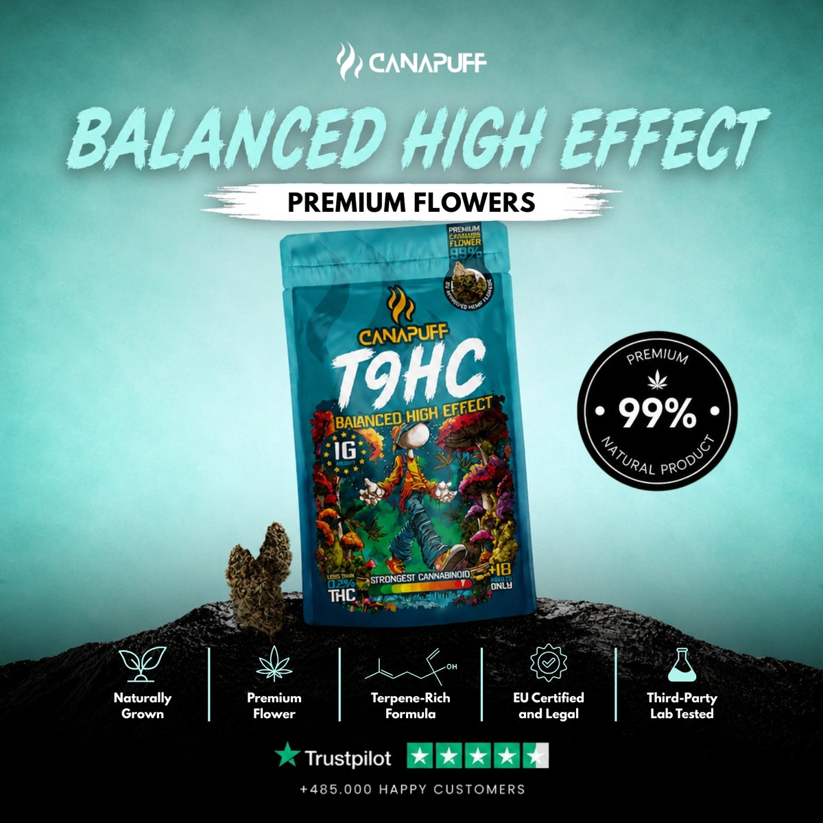 TⳊHC Flowers Balanced 99% – flower buds, photo 2
