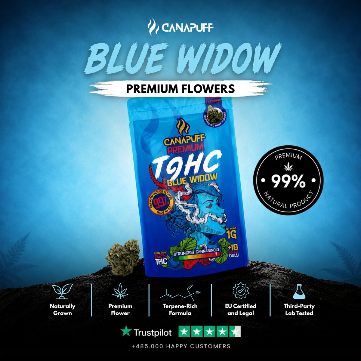 TⳊHC Flowers Blue Widow 99% – flower buds, photo 2