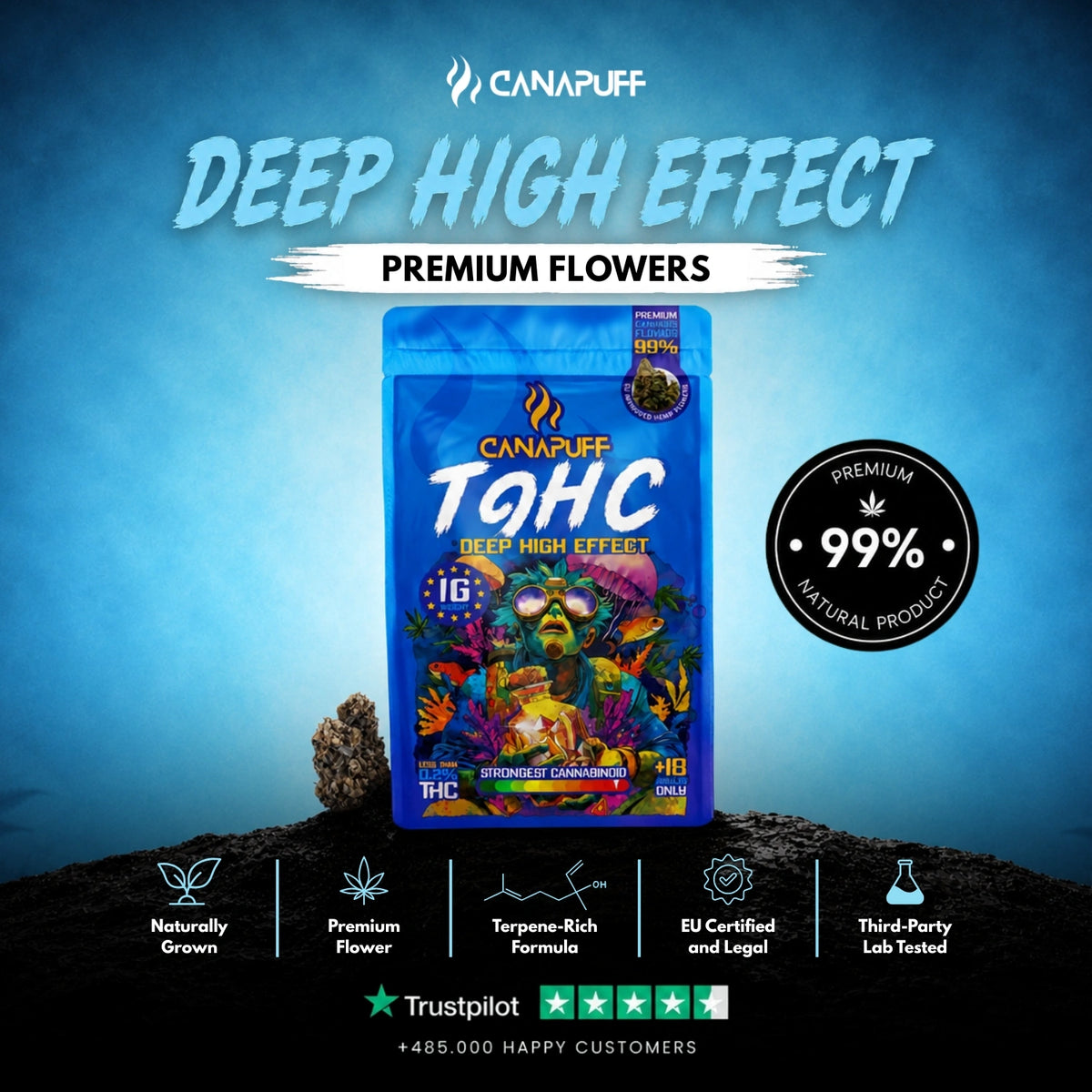 TⳊHC Flowers Deep 99% – flower buds, photo 2