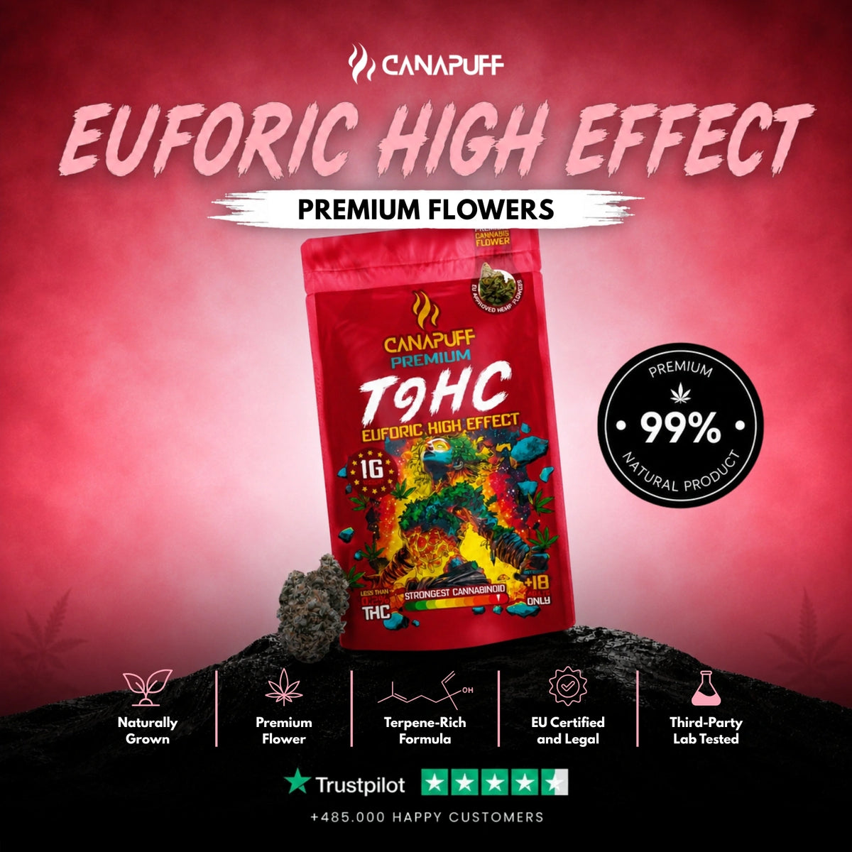 TⳊHC Flowers Euforic 99% – flower buds, photo 2