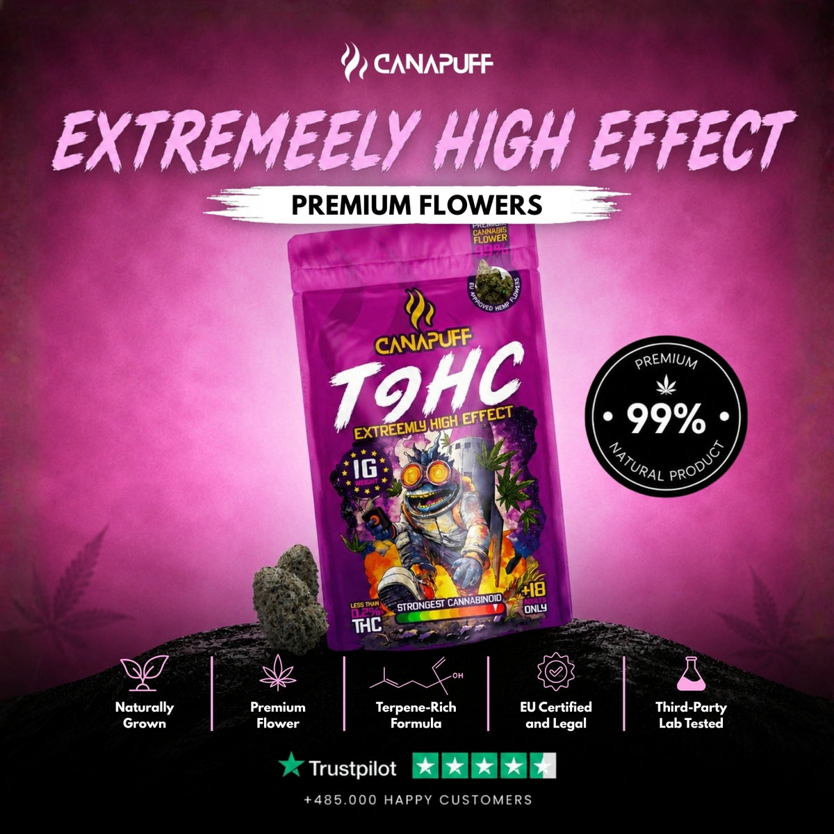 TⳊHC Flowers Extreemly 99% – flower buds, photo 2