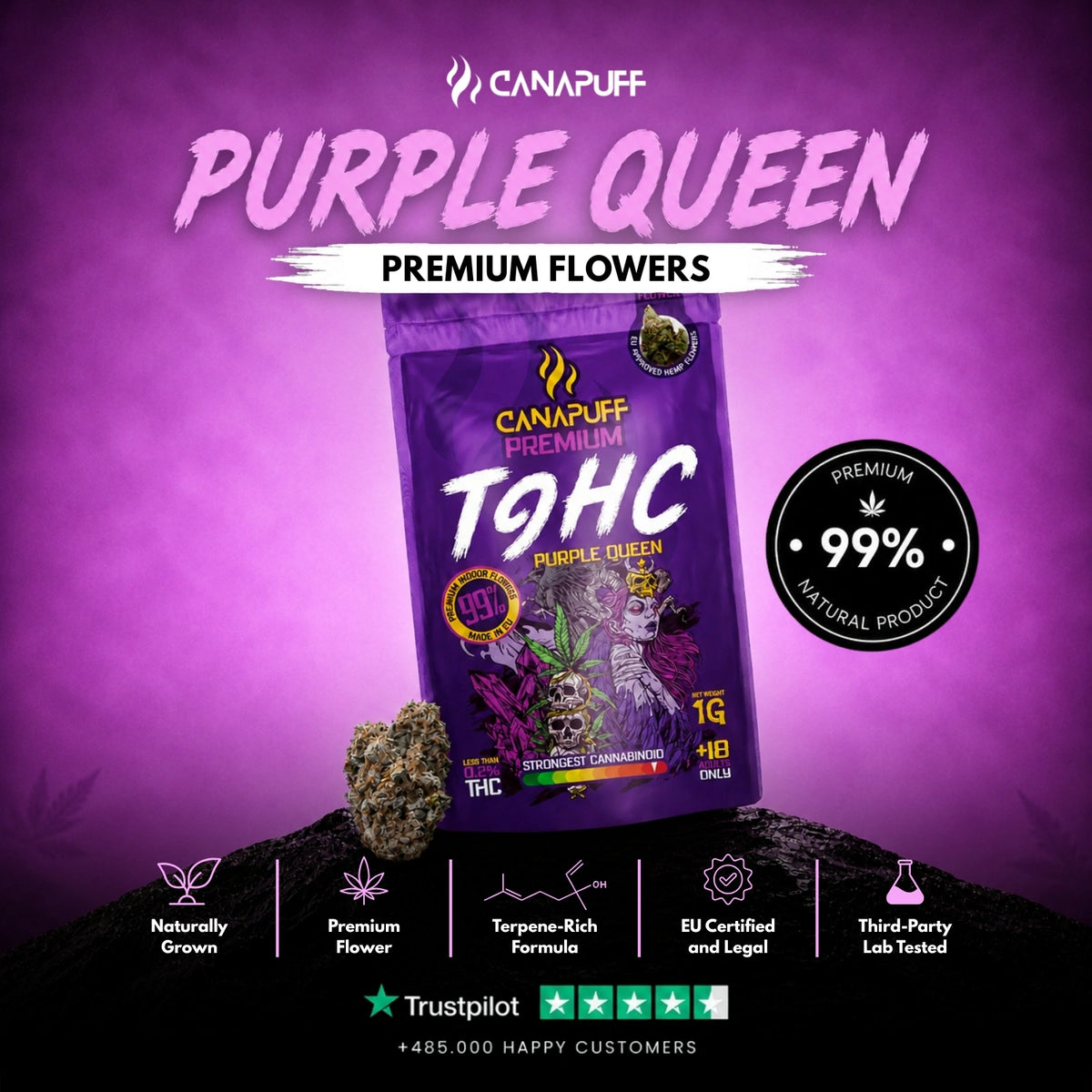 TⳊHC Flowers Purple Queen 99% – flower buds, photo 2