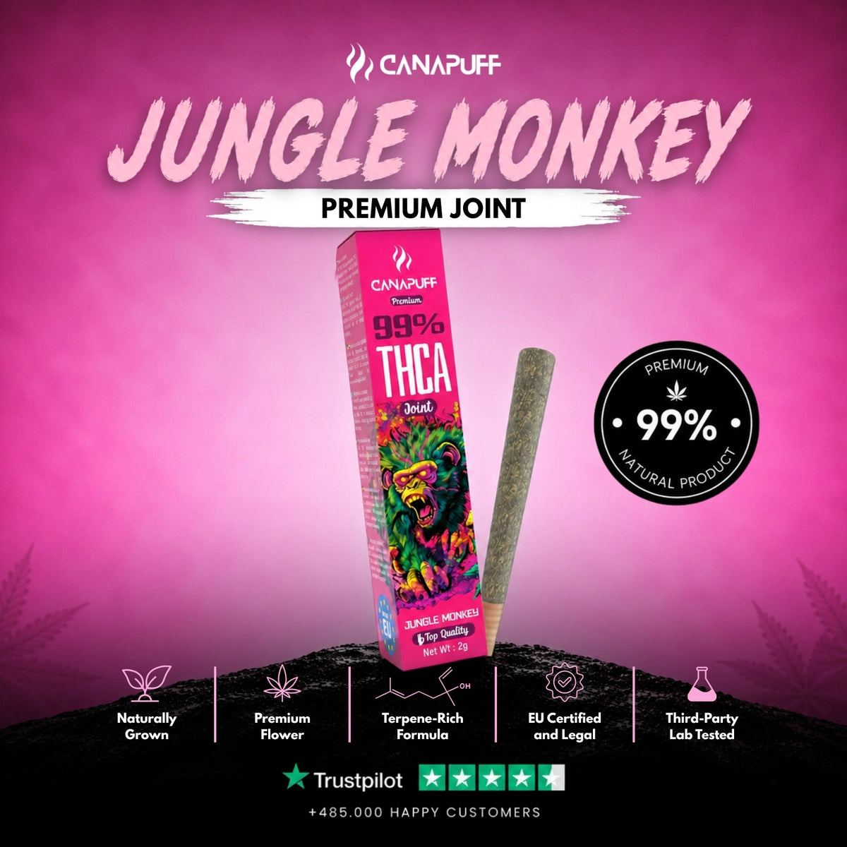 THCA Joint Jungle Monkey 99% 2g – pre-rolled joint, photo 2