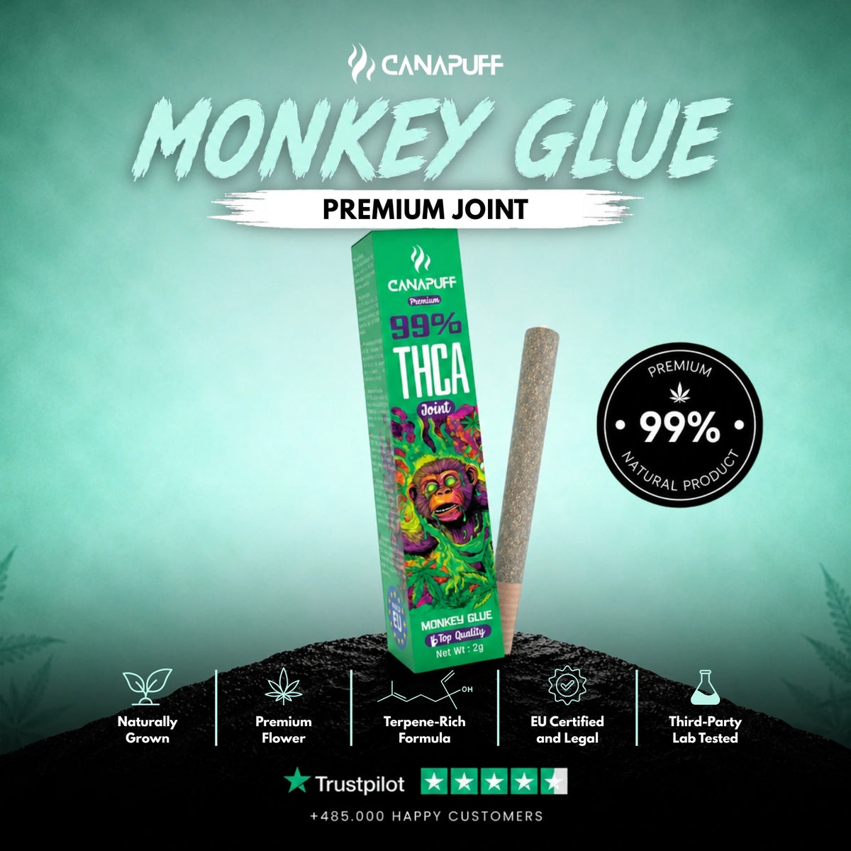 THCA Joint Monkey Glue 99% 2g – pre-rolled joint, photo 2